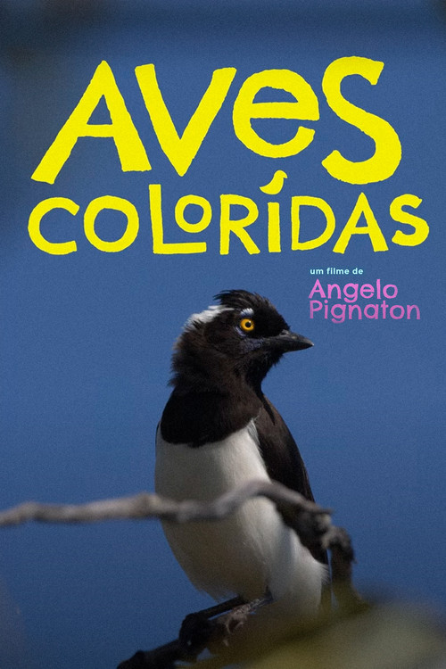 Colored Birds (2023) poster