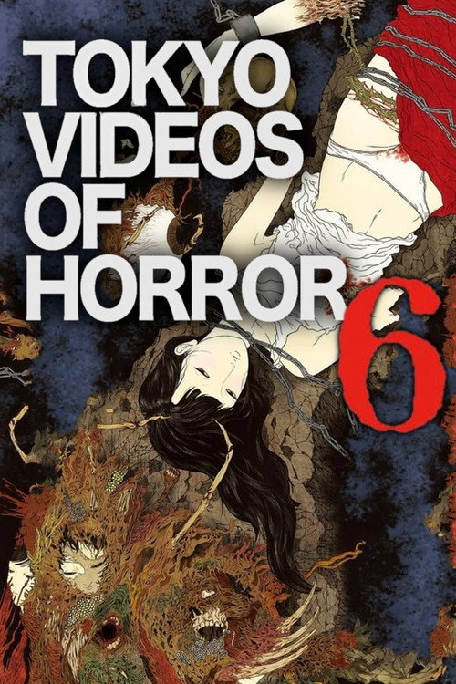 Tokyo Videos of Horror 6 (2013) poster