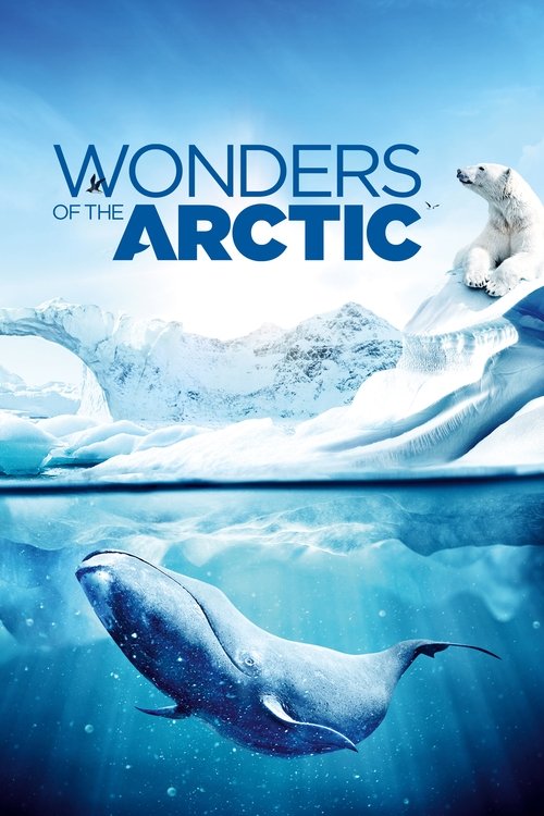 Wonders of the Arctic (2014) poster