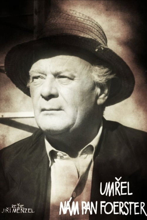 Umřel nám pan Foerster (1963) poster
