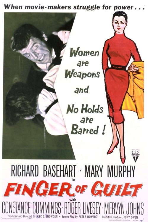 The Intimate Stranger (1956) poster