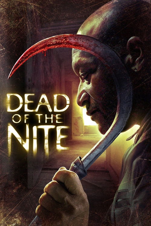Dead of the Nite (2013) poster
