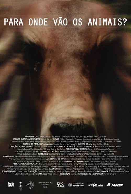 Para Onde Vão Os Animais (2024) poster