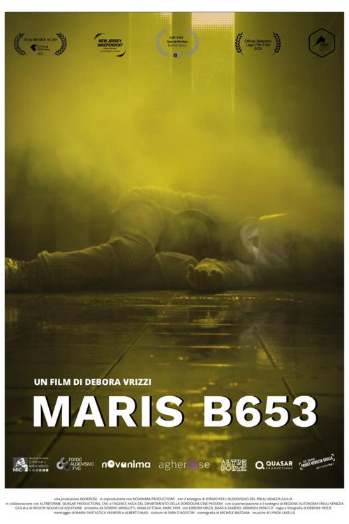 Maris B653 poster
