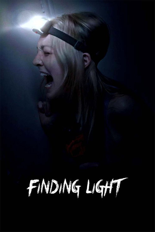 Finding Light (2024) poster