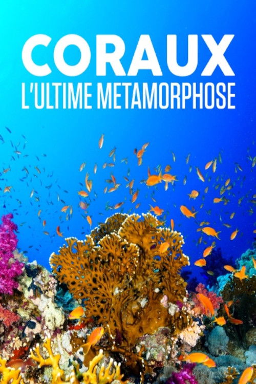 Coraux, l'ultime métamorphose (2019) poster