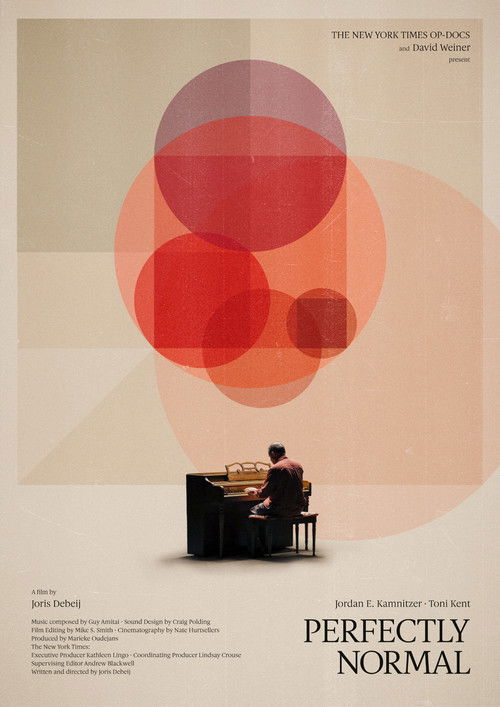 Perfectly Normal (2017) poster