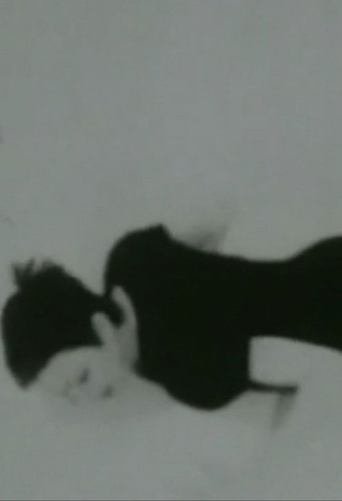 Cornered (1997) poster