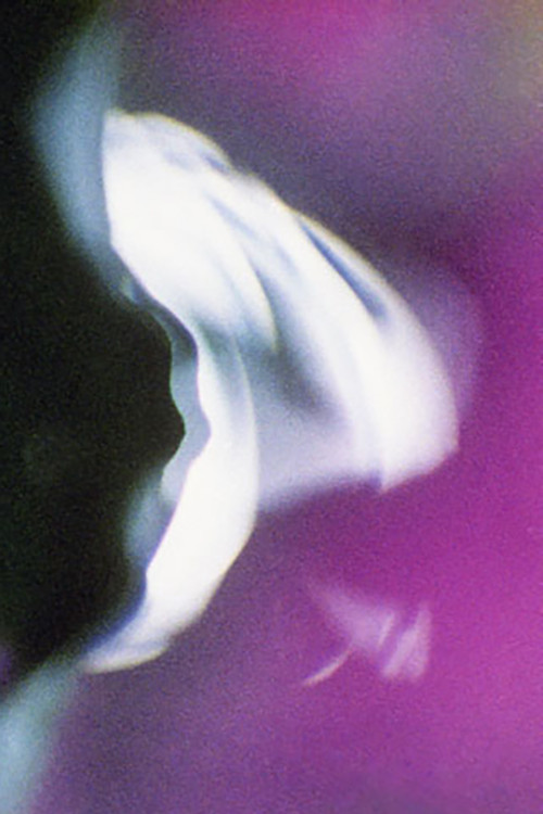 Voluptuous Sleep (2011) poster