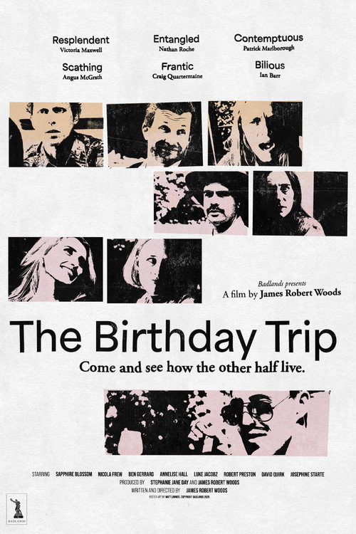 The Birthday Trip (2025) poster
