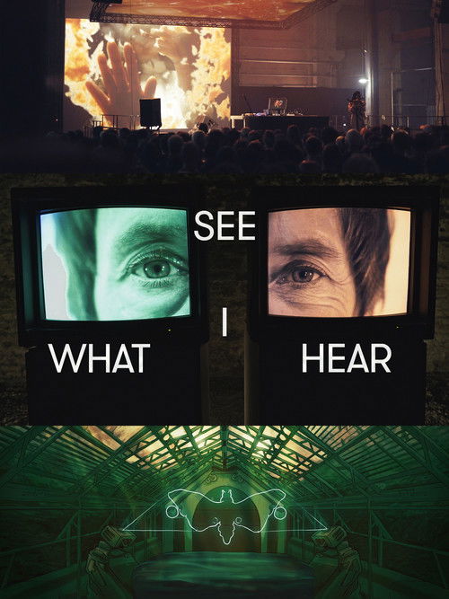 See What I Hear (2019) poster
