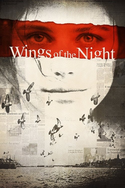 Wings of the Night (2009) poster