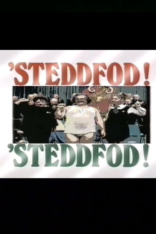 Steddfod! Steddfod! (1989) poster
