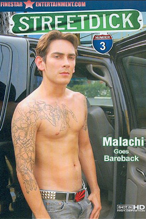 Street Dick 3 (2008) poster