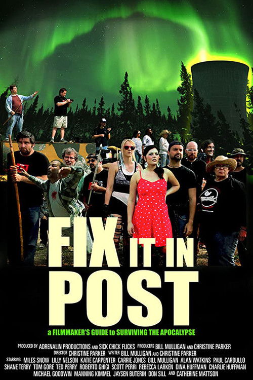 Fix It In Post (2014) poster