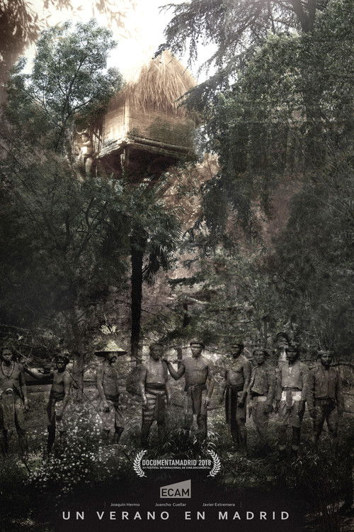 A Summer in Madrid (2017) poster