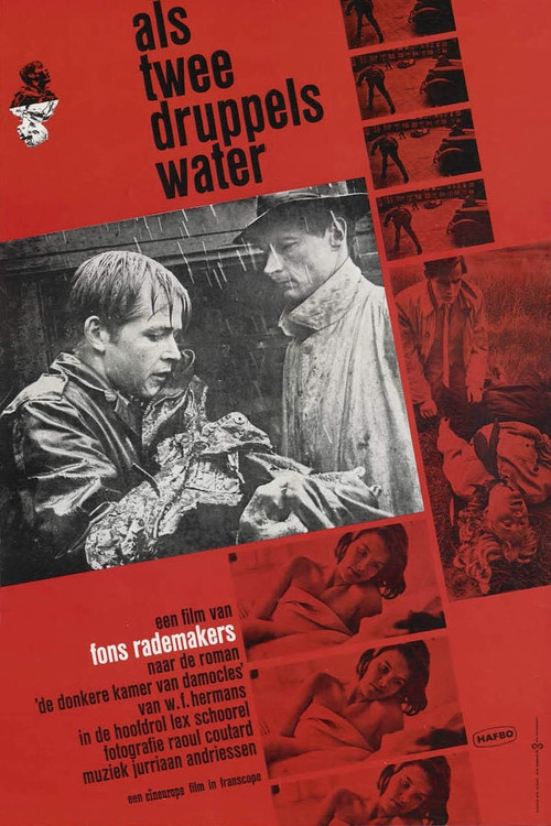 Like Two Drops of Water (1963) poster