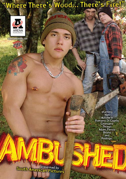 Meu Lenhador (2006) poster