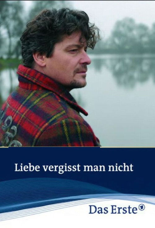 Liebe vergisst man nicht (2010) poster
