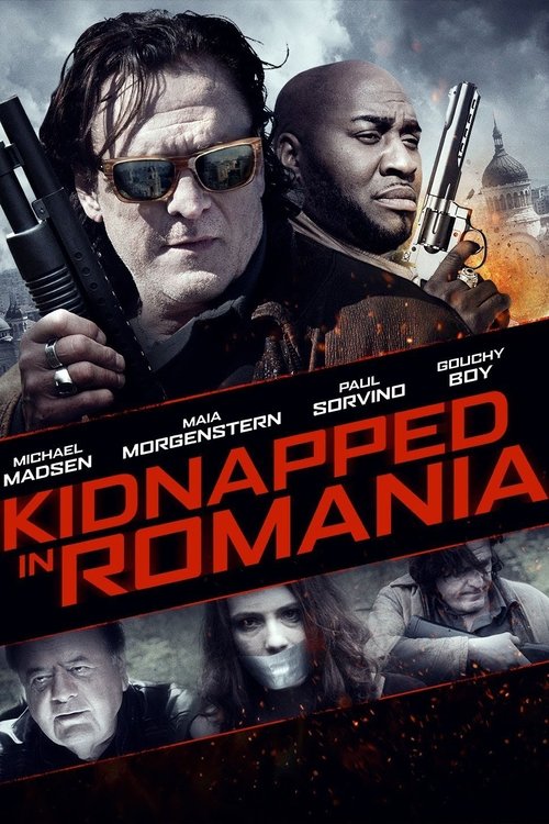 Kidnapped in Romania (2016) poster