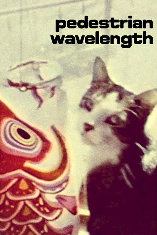 Pedestrian Wavelength (1979) poster