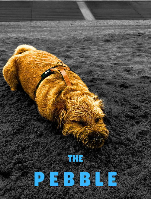 The Pebble (2022) poster