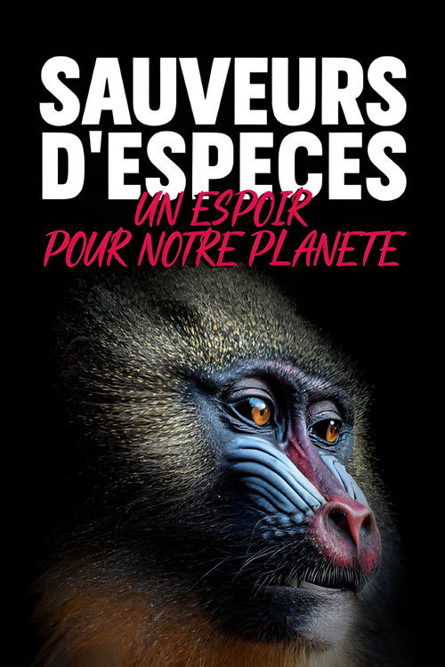 Jane Goodall and the Guardians of Biodiversity (2020) poster