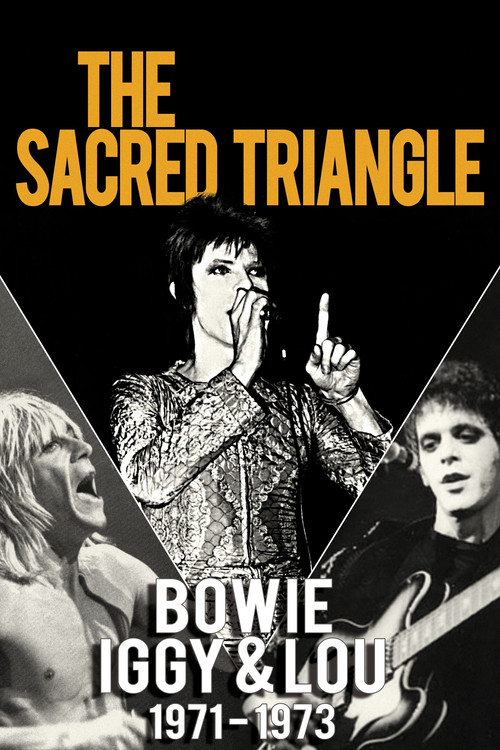 Bowie, Iggy & Lou 1971-1973: The Sacred Triangle (2010) poster