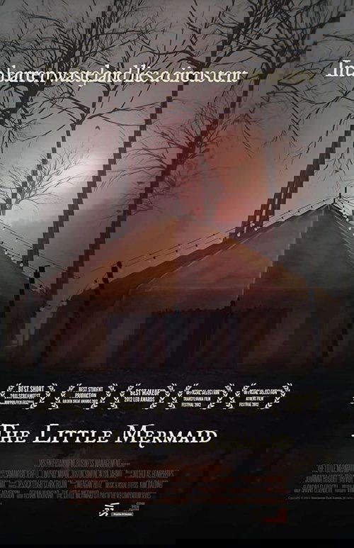 The Little Mermaid (2011) poster