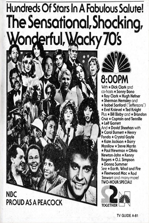 The Sensational Shocking Wonderful Wacky 70's (1980) poster
