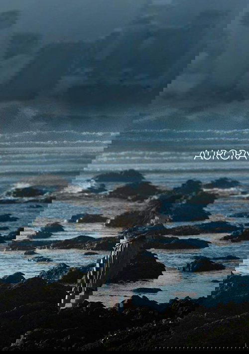 Aurora (2018) poster