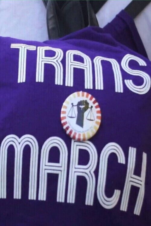 Trans*march (2013) poster