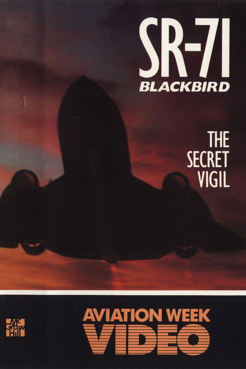 SR-71 Blackbird: The Secret Vigil (1990) poster