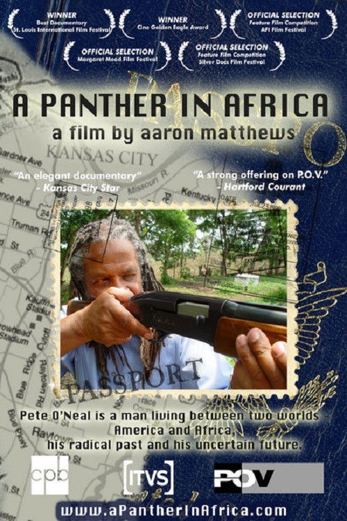 A Panther in Africa (2004) poster