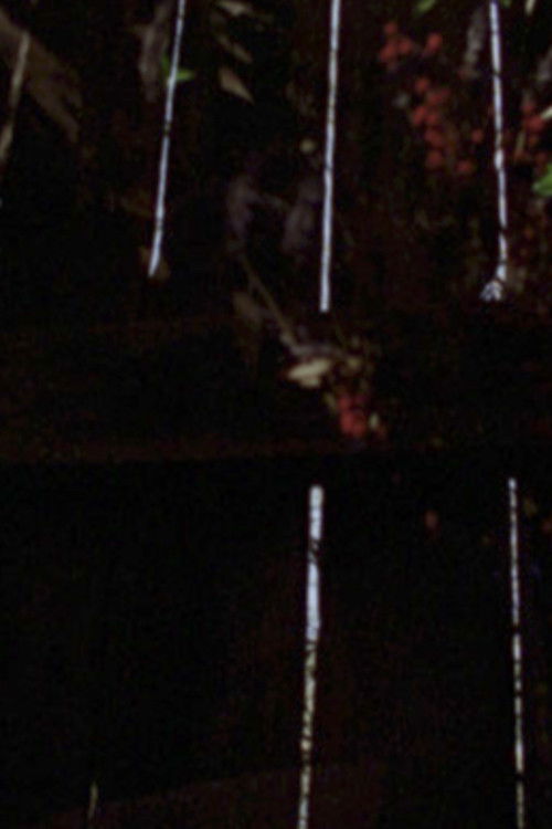 Garden Glimpses (2023) poster