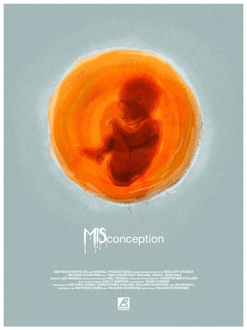 Misconception (2020) poster