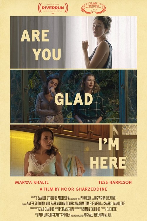 Are You Glad I'm Here (2019) poster