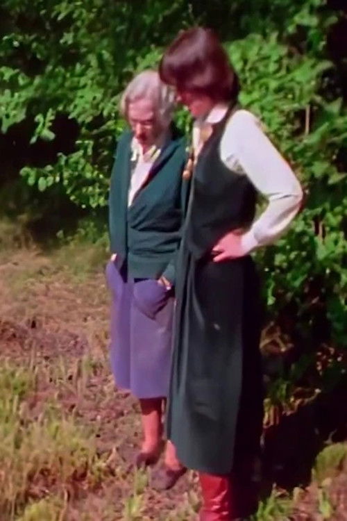 Remembering Jung (1986) poster