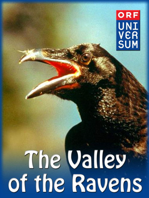 Valley of the Ravens poster
