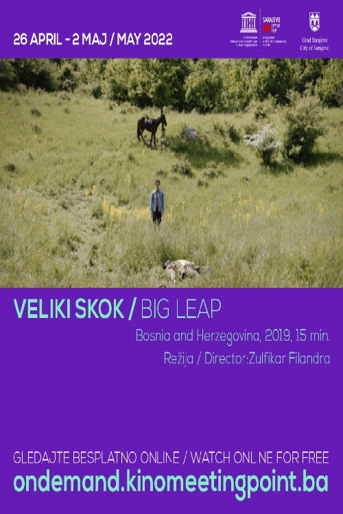 Big Leap (2019) poster
