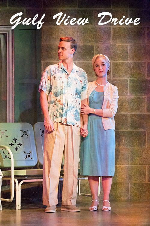 Gulf View Drive (2017) poster