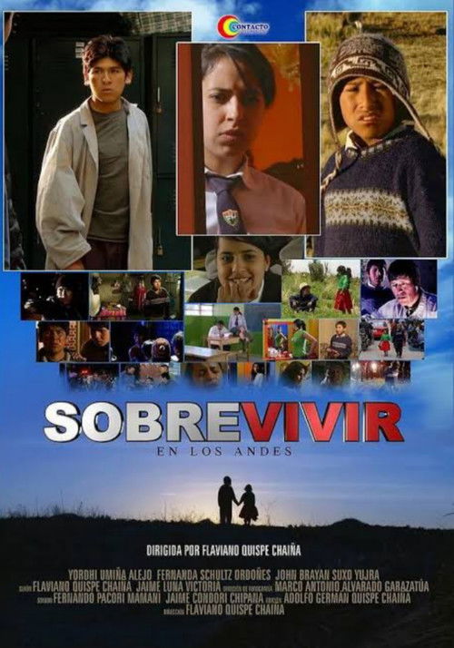 Sobrevivir en los Andes (2010) poster