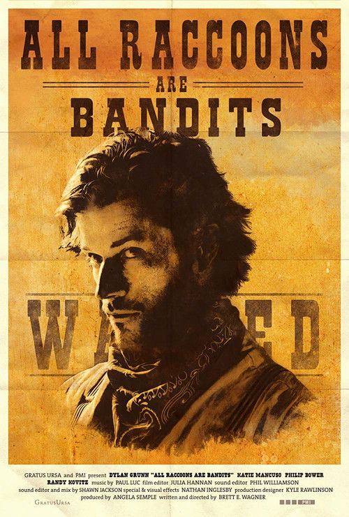 All Raccoons Are Bandits (2015) poster