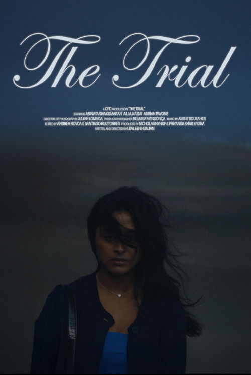 The Trial (2024) poster