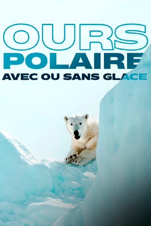 Face to Face with the Polar Bear (2005) poster