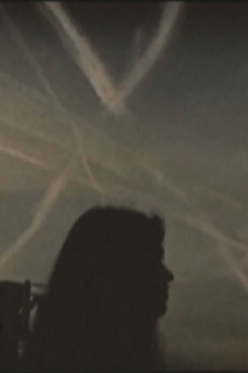 Journey into Perversion (2001) poster