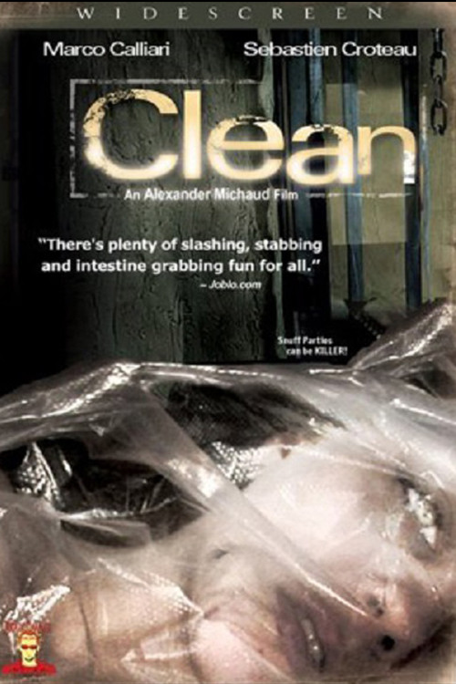 Clean (2006) poster