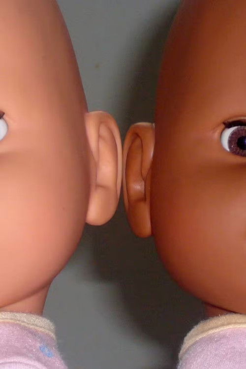 The Danish Doll Test (2008) poster