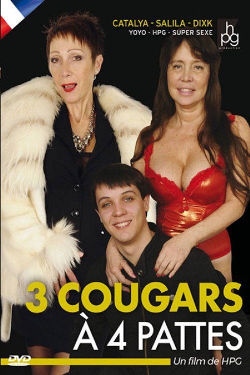 3 Cougars à 4 Pattes (2013) poster