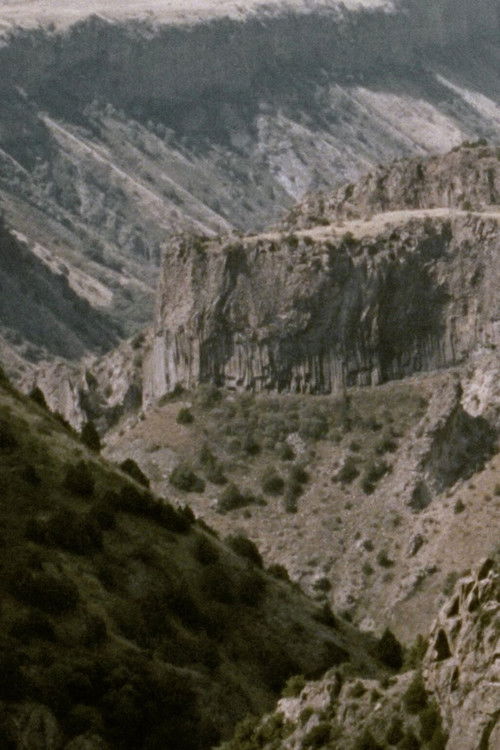 End Pull (2025) poster